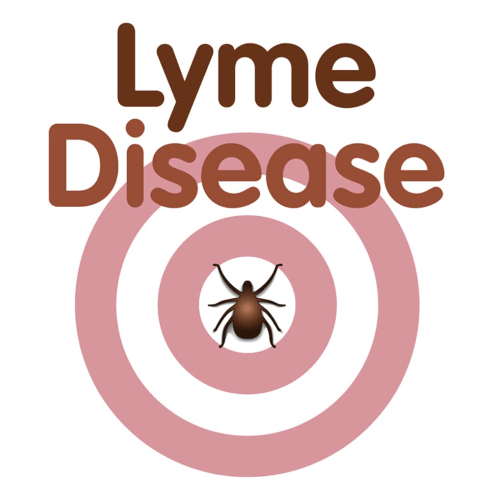 Can Lyme Disease Be Cured? Know More In Details