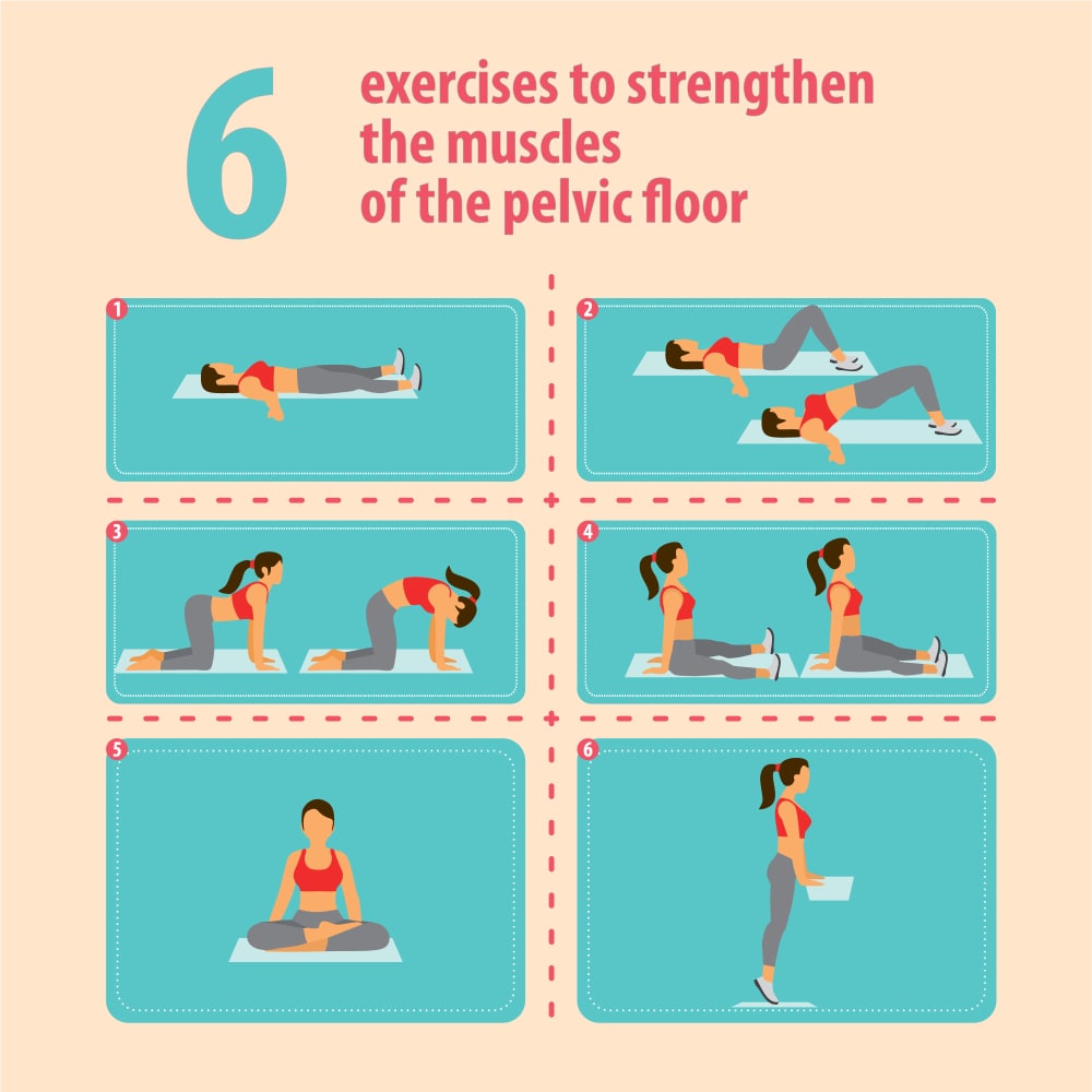 Pelvic Floor Exercises Pelvic floor exercises