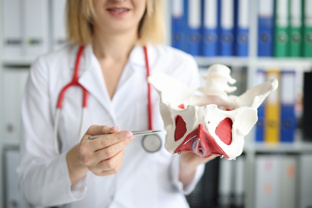 Pelvic Floor Pelvic floor