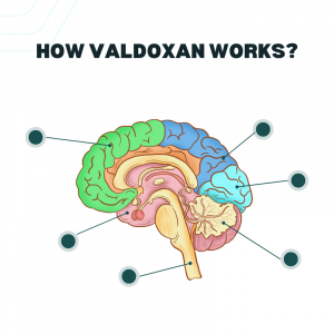 <strong>understanding Valdoxan: Benefits, Side Effects, And Dosage</strong> 3 How does valdoxan work?