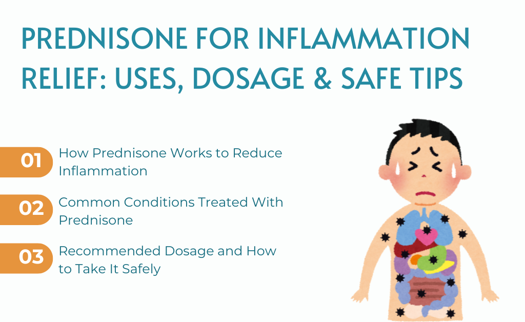 Prednisone for inflammation relief: uses, dosage & safe tips